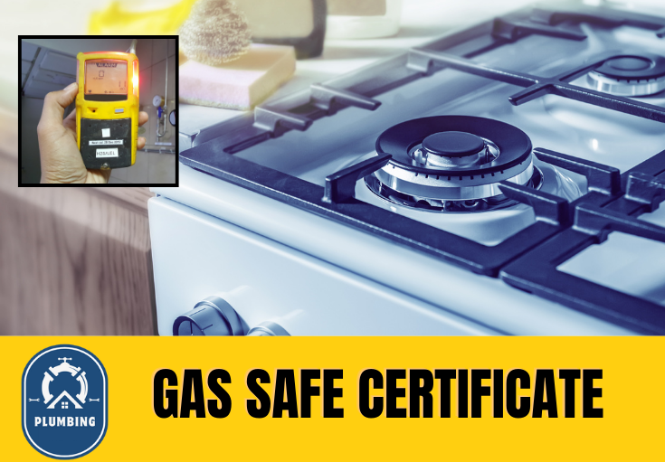 gas safe certificate Snodland