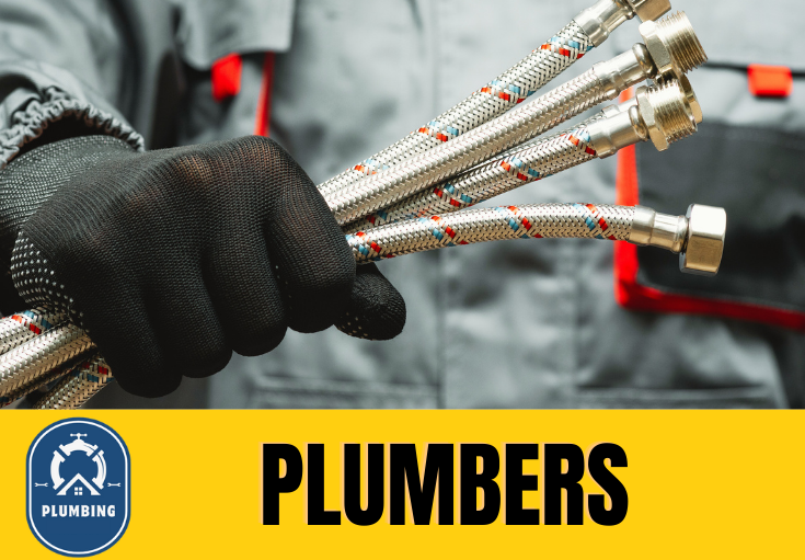  plumber Larkfield