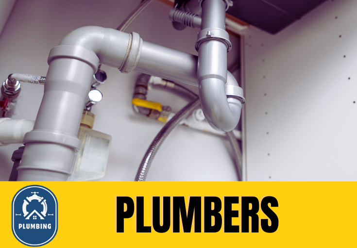  plumber Cuxton